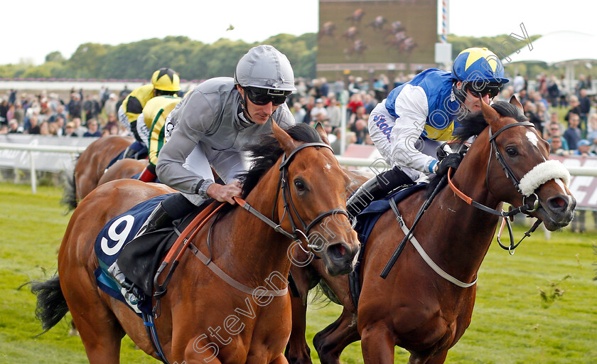 Main-Desire-0005 
 MAIN DESIRE (left, Daniel Tudhope) beats HEY JONESY (right) in The British Stallion Studs EBF Westow Stakes York 17 May 2018 - Pic Steven Cargill / Racingfotos.com