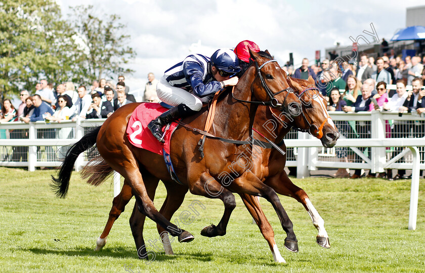 Ragnar-0003 
 RAGNAR (Jason Watson) beats RHYTHMIC INTENT (farside) in The Beck Celebrating 25 Years Of Excellence Handicap
Sandown 14 Jun 2019 - Pic Steven Cargill / Racingfotos.com