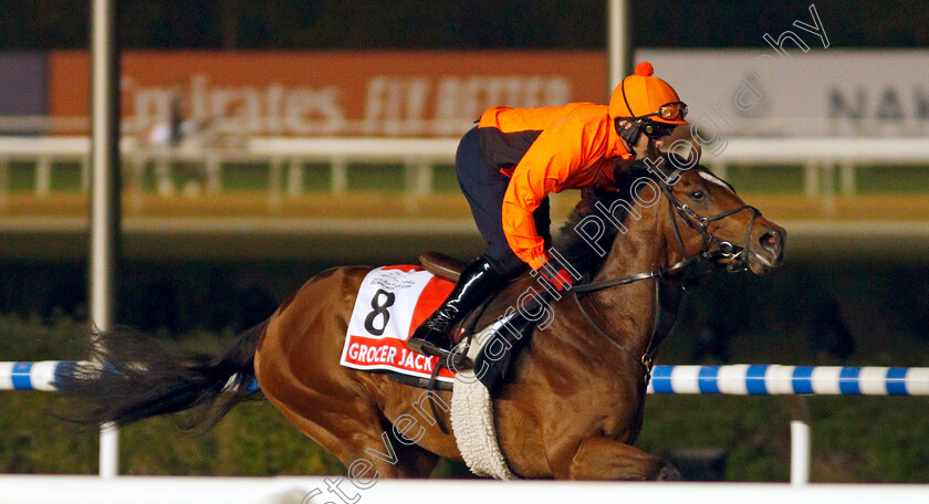 Grocer-Jack-0001 
 GROCER JACK training for The Dubai World Cup
Meydan, Dubai, 24 Mar 2022 - Pic Steven Cargill / Racingfotos.com