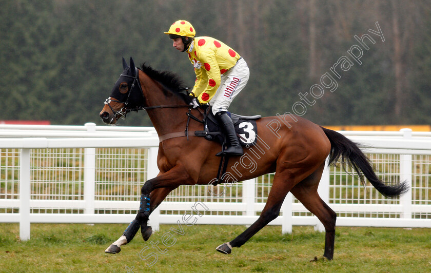 Another-Crick-0001 
 ANOTHER CRICK (Wayne Hutchinson) Newbury 10 Feb 2018 - Pic Steven Cargill / Racingfotos.com