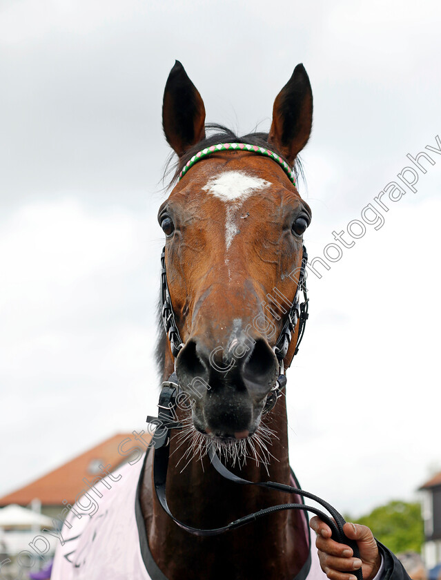 Arrest-0013 
 ARREST after The Boodles Chester Vase
Chester 10 May 2023 - Pic Steven Cargill / Racingfotos.com