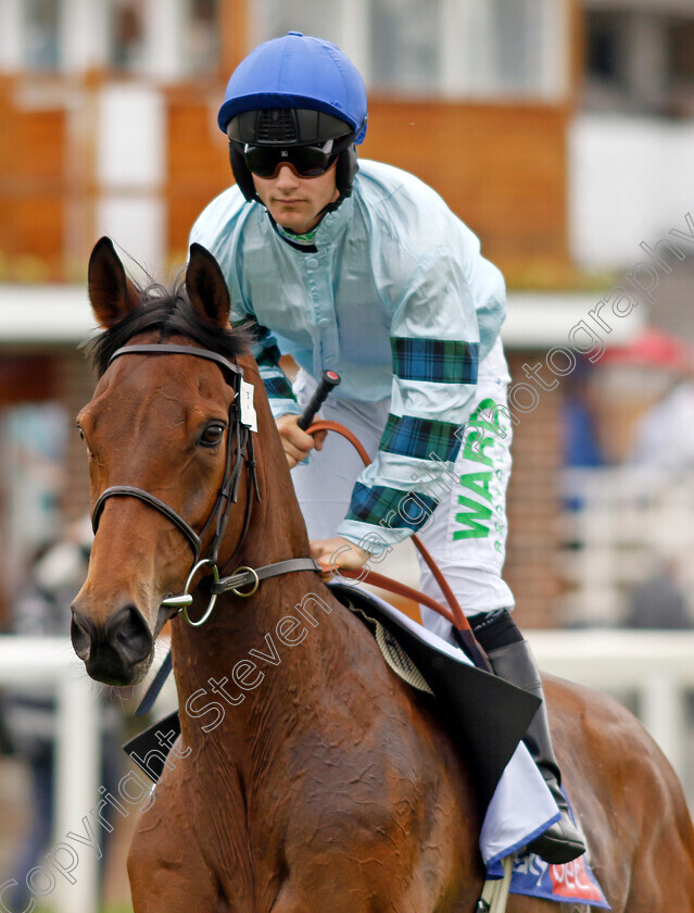 Quickthorn-0011 
 QUICKTHORN (Jason Hart) winner of The Sky Bet Grand Cup
York 17 Jun 2023 - Pic Steven Cargill / Racingfotos.com