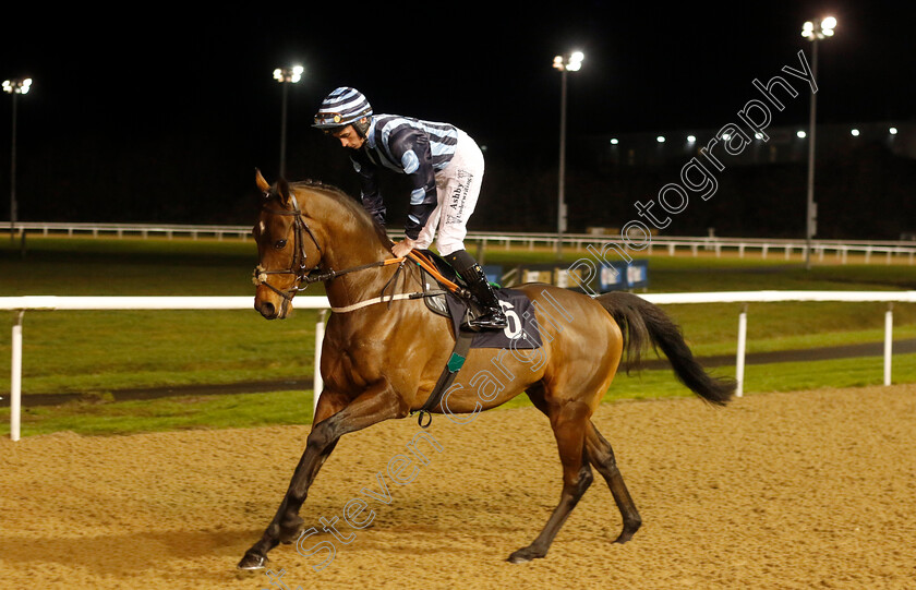 Bass-Player-0004 
 BASS PLAYER (Rossa Ryan) wins The Betmgm Handicap
Wolverhampton 20 Dec 2024 - Pic Steven Cargill / Racingfotos.com