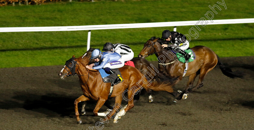 Cyclonite-0007 
 CYCLONITE (Daniel Muscutt) wins The Unibet Nursery
Kempton 4 Dec 2024 - pic Steven Cargill / Racingfotos.com