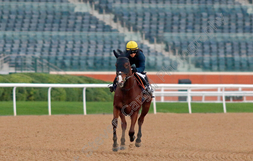 Onigiri-0001 
 ONIGIRI training at the Dubai Racing Carnival
Meydan 4 Jan 2024 - Pic Steven Cargill / Racingfotos.com