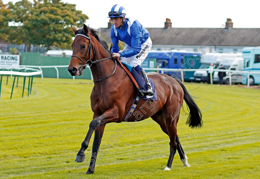 Mutaaqeb-0001 
 MUTAAQEB (Jim Crowley) winner of The British Stallion Studs EBF Novice Stakes Yarmouth 19 Sep 2017 - Pic Steven Cargill / Racingfotos.com