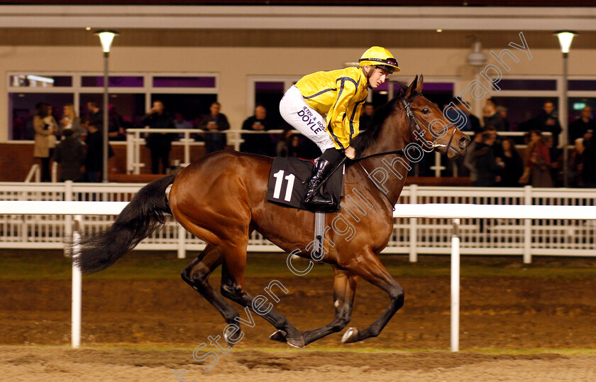 Move-Swiftly-0003 
 MOVE SWIFTLY (Tom Marquand) winner of The toteJackpot At betfred.com Novice Median Auction Stakes Chelmsford 21 Dec 2017 - Pic Steven Cargill / Racingfotos.com