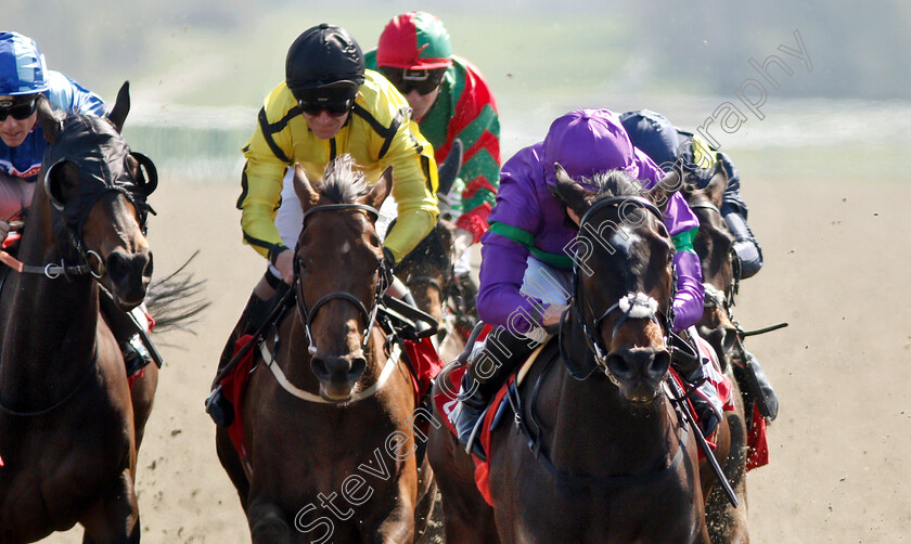 Heavenly-Holly-0004 
 HEAVENLY HOLLY (Ryan Moore) wins The Ladbrokes All-Weather Fillies And Mares Championships Stakes
Lingfield 19 Apr 2019 - Pic Steven Cargill / Racingfotos.com