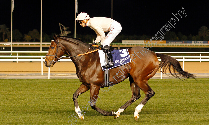 Abrantes-0001 
 ABRANTES (Christophe Soumillon)
Meydan 9 Jan 2020 - Pic Steven Cargill / Racingfotos.com