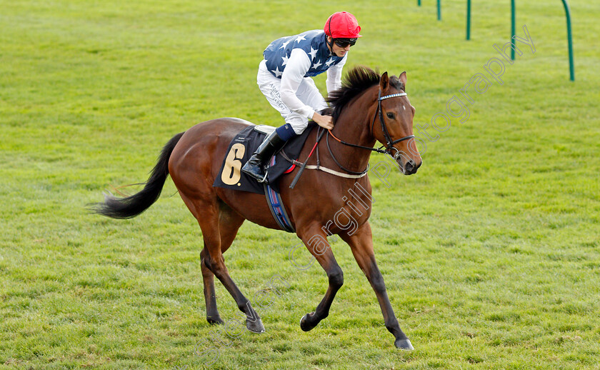 Free-Step 
 FREE STEP (George Wood)
Newmarket 30 Oct 2021 - Pic Steven Cargill / Racingfotos.com