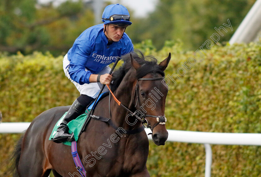 Castle-Gates-0001 
 CASTLE GATES (Kevin Stott)
Kempton 6 Sep 2024 - Pic Steven Cargill / Racingfotos.com