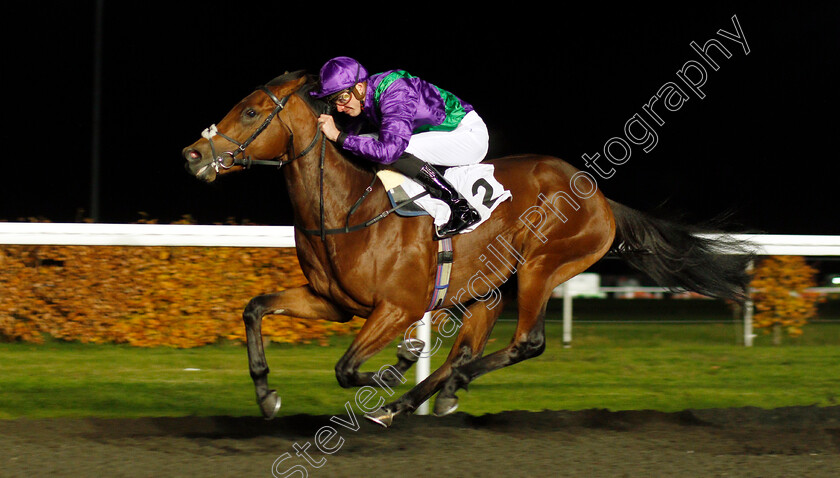 Eastern-Sheriff-0004 
 EASTERN SHERIFF (James Doyle) wins The 100% Profit Boost At 32redsport.com Novice Median Auction Stakes
Kempton 20 Nov 2019 - Pic Steven Cargill / Racingfotos.com