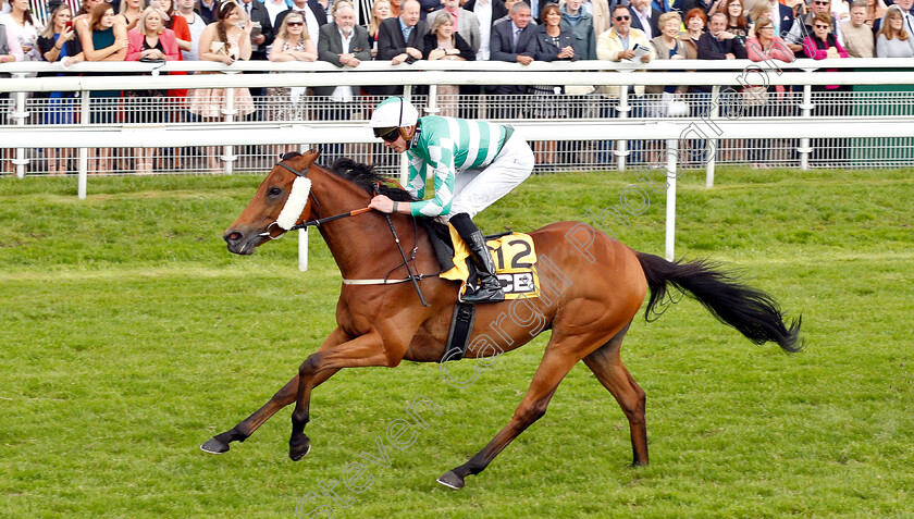 Firmament-0004 
 FIRMAMENT (James Doyle) wins The JCB Handicap
York 15 Jun 2019 - Pic Steven Cargill / Racingfotos.com