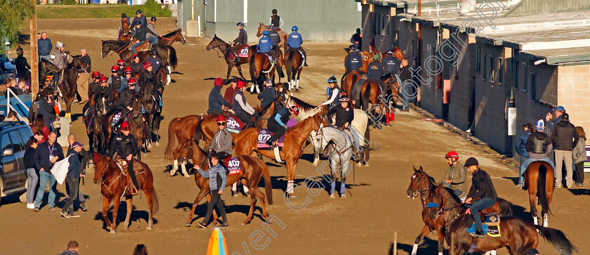 Breeders -Cup-0002 
 Horses waiting to train for The Breeders' Cup, including AUGUSTE RODIN (301)
Santa Anita USA, 31 October 2023 - Pic Steven Cargill / Racingfotos.com