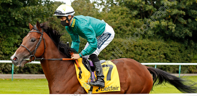 Kinross-0001 
 KINROSS (Harry Bentley)
Haydock 5 Sep 2020 - Pic Steven Cargill / Racingfotos.com