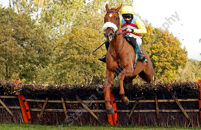 The-Weasel-0001 
 THE WEASEL (Harry Reed)
Fakenham 16 Oct 2020 - Pic Steven Cargill / Racingfotos.com