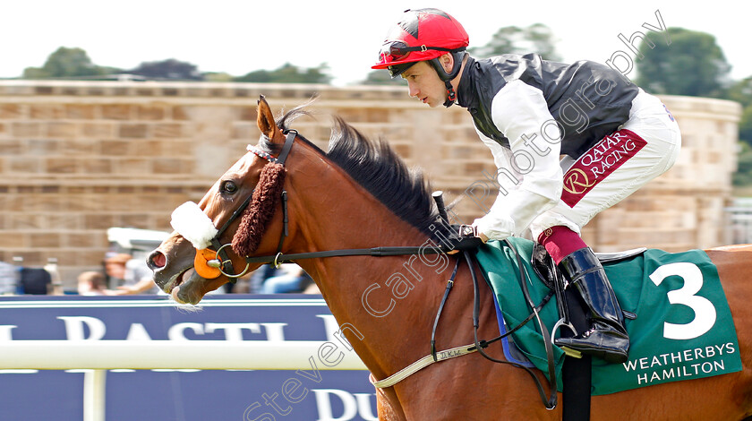 Falcon-Eight-0001 
 FALCON EIGHT (Oisin Murphy)
York 23 Aug 2019 - Pic Steven Cargill / Racingfotos.com