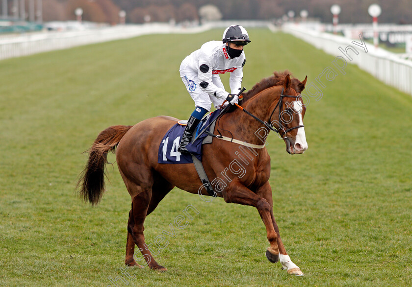 Baryshnikov-0001 
 BARYSHNIKOV (Connor Beasley)
Doncaster 28 Mar 2021 - Pic Steven Cargill / Racingfotos.com