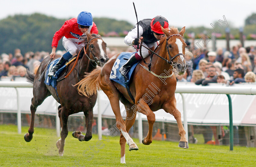 Search-For-A-Song-0003 
 SEARCH FOR A SONG (Oisin Murphy) wins The British EBF & Sir Henry Cecil Galtres Stakes
York 22 Aug 2019 - Pic Steven Cargill / Racingfotos.com