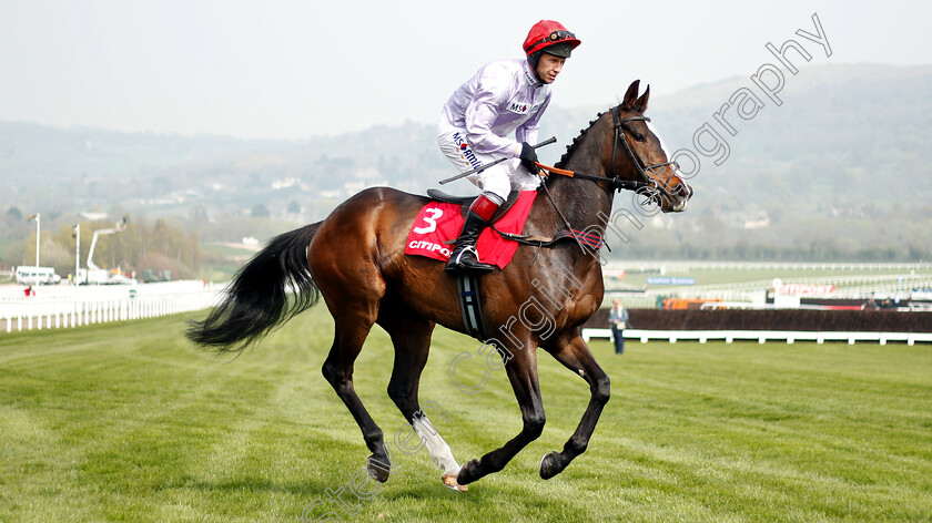 Cotswold-Way-0001 
 COTSWOLD STAR (Richard Johnson) 
Cheltenham 17 Apr 2019 - Pic Steven Cargill / Racingfotos.com