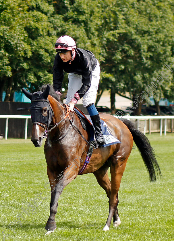 Lower-Street 
 LOWER STREET (Callum Shepherd)
Newmarket 30th July 2022 - Pic Steven Cargill / Racingfotos.com