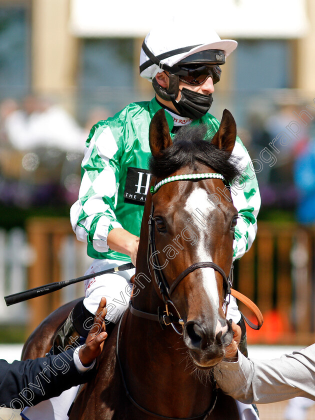 Roberto-Escobarr-0002 
 ROBERTO ESCOBARR (Tom Marquand) winner of The Sky Bet Race To The Ebor Grand Cup
York 12 Jun 2021 - Pic Steven Cargill / Racingfotos.com