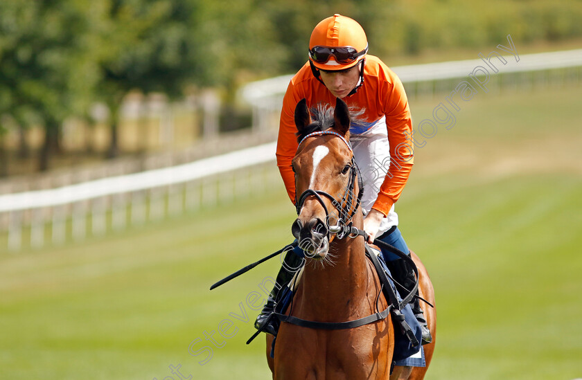 Glorious-Angel 
 GLORIOUS ANGEL (Callum Shepherd)
Newmarket 30th July 2022 - Pic Steven Cargill / Racingfotos.com