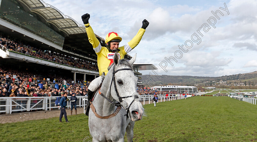 Politologue-0013 
 POLITOLOGUE (Harry Skelton) after The Betway Queen Mother Champion Chase
Cheltenham 11 Mar 2020 - Pic Steven Cargill / Racingfotos.com