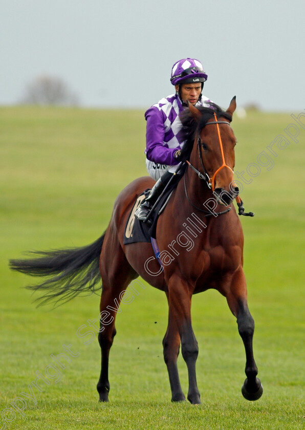 Guitar-0001 
 GUITAR (Sean Levey)
Newmarket 29 Oct 2021 - Pic Steven Cargill / Racingfotos.com