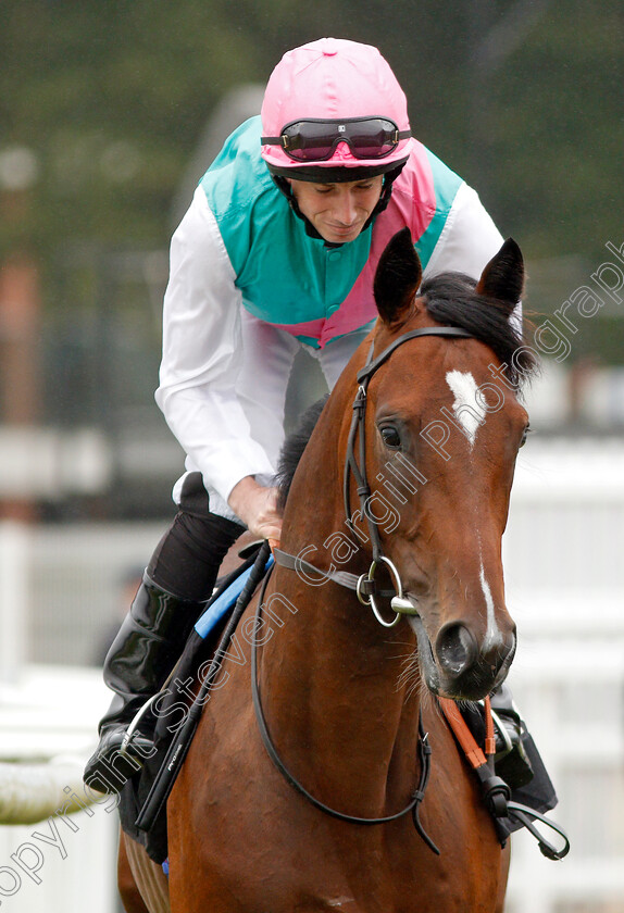 Oslo-0001 
 OSLO (Ryan Moore)
Newbury 19 Jul 2019 - Pic Steven Cargill / Racingfotos.com