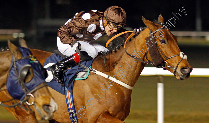 Matewan-0002 
 MATEWAN (Ben Curtis)
Wolverhampton 20 Jan 20 - Pic Steven Cargill / Racingfotos.com