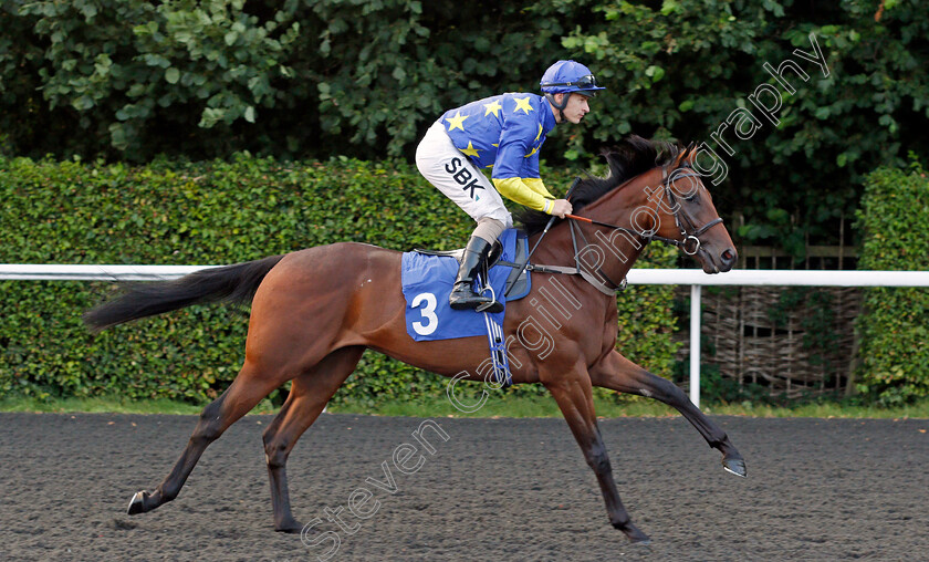 Appearing-0001 
 APPEARING (Richard Kingscote)
Kempton 3 Sep 2021 - Pic Steven Cargill / Racingfotos.com