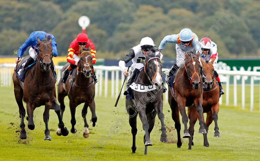 Tip-Two-Win-0003 
 TIP TWO WIN (centre, Adam Kirby) beats AQABAH (left) and TIGRE DU TERRE (right) in The Weatherbys Bank Foreign Exchange Flying Scotsman Stakes Doncaster 15 Sep 2017 - Pic Steven Cargill / Racingfotos.com