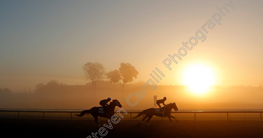 Clairiere-and-Cyberknife-0001 
 CLAIRIERE and CYBERKNIFE at sunrise during training for the Breeders' Cup Filly & Mare Sprint
Keeneland USA 3 Nov 2022 - Pic Steven Cargill / Racingfotos.com