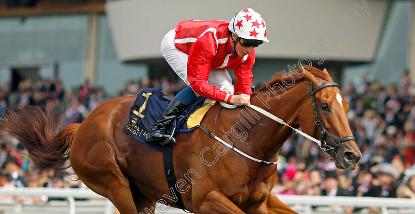 Saffron-Beach-0005 
 SAFFRON BEACH (William Buick) wins The Duke Of Cambridge Stakes
Royal Ascot 15 Jun 2022 - Pic Steven Cargill / Racingfotos.com