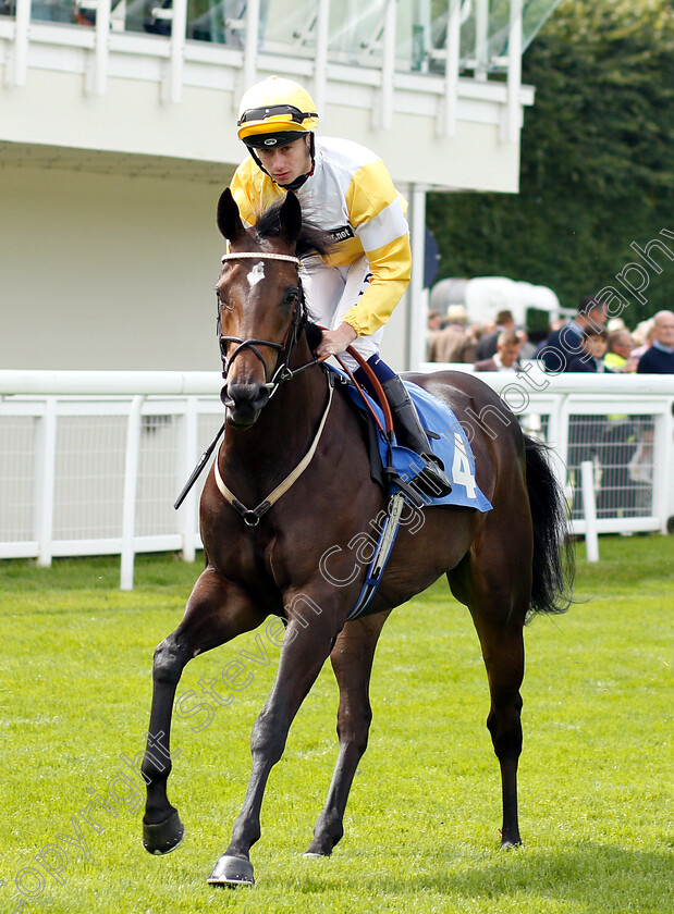 Concello-0001 
 CONCELLO (Oisin Murphy) before winning The Sorvio Insurance Brokers Maiden Auction Fillies Stakes
Salisbury 16 Aug 2018 - Pic Steven Cargill / Racingfotos.com