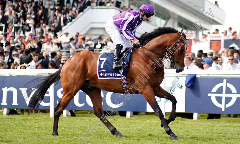 Japan-0002 
 JAPAN (Wayne Lordan)
Epsom 1 Jun 2019 - Pic Steven Cargill / Racingfotos.com