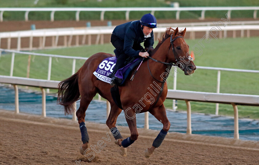 Algiers-0001 
 ALGIERS training for The Breeders' Cup Dirt Mile
Santa Anita USA, 31 October 2023 - Pic Steven Cargill / Racingfotos.com