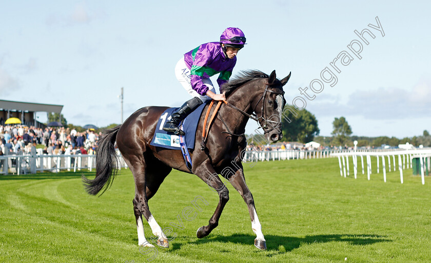 Ville-De-Grace-0001 
 VILLE DE GRACE (Ryan Moore) winner of The EBF Stallions John Musker Fillies Stakes
Yarmouth 15 Sep 2021 - Pic Steven Cargill / Racingfotos.com