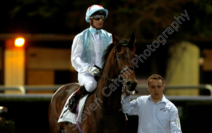 Fares-Poet-0001 
 FARES POET (Gerald Mosse)
Kempton 27 Sep 2018 - Pic Steven Cargill / Racingfotos.com