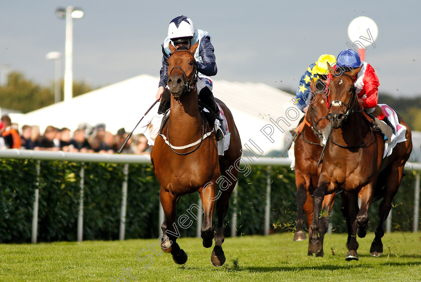 Picture-No-Sound-0003 
 PICTURE NO SOUND (Paul Hanagan) wins The DFS Handicap
Doncaster 13 Sep 2018 - Pic Steven Cargill / Racingfotos.com