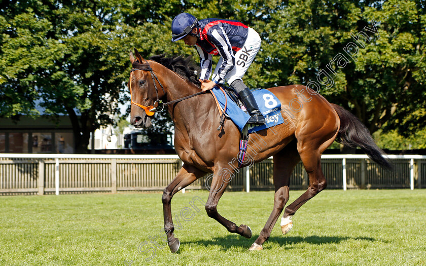 Happy-Romance 
 HAPPY ROMANCE (Sean Levey)
Newmarket 9 Jul 2022 - Pic Steven Cargill / Racingfotos.com