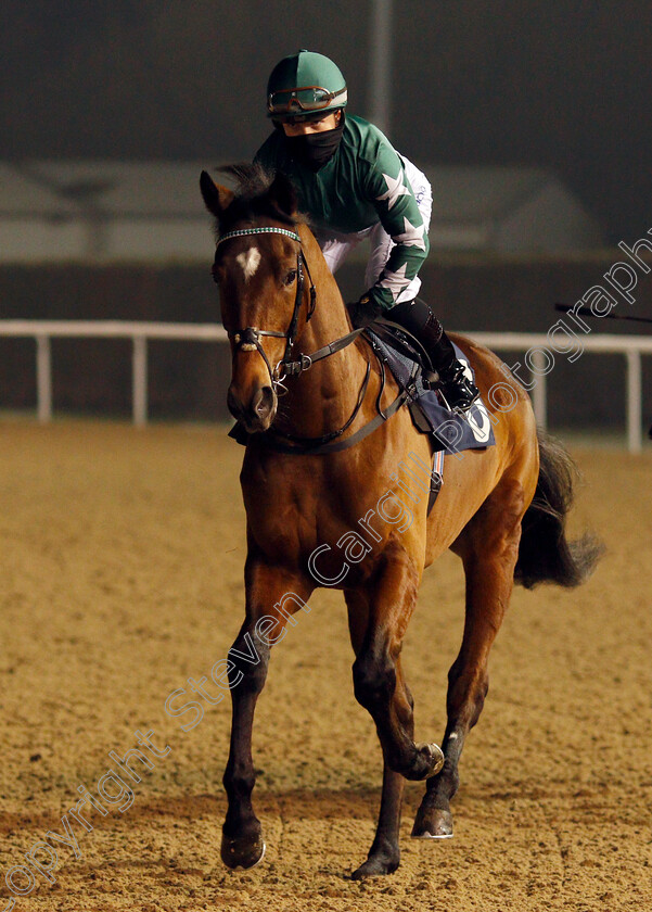 Liverpool-Knight-0001 
 LIVERPOOL KNIGHT (Hollie Doyle)
Wolverhampton 7 Jan 2021 - Pic Steven Cargill / Racingfotos.com