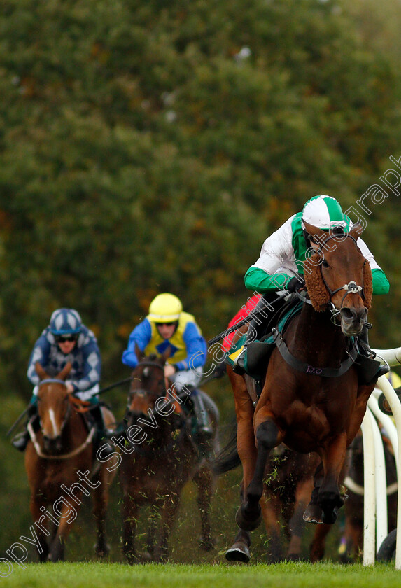 Carys -Commodity-0002 
 CARYS' COMMODITY (Jonjo O'Neill Jr) wins The Champions Day Form Study On attheraces.com/ascot Handicap Hurdle
Fakenham 16 Oct 2020 - Pic Steven Cargill / Racingfotos.com