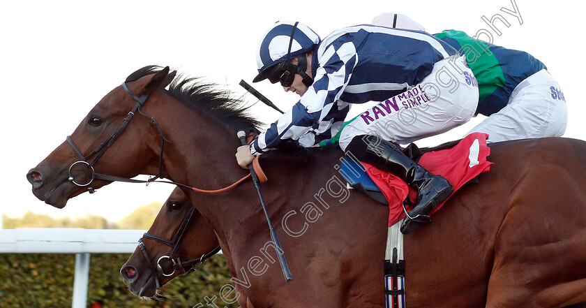 Korcho-0007 
 KORCHO (Charlie Bennett) wins The Bet At racinguk.com Nursery
Kempton 27 Sep 2018 - Pic Steven Cargill / Racingfotos.com