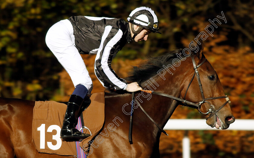 Morning-Light-0002 
 MORNING LIGHT (Hector Crouch)
Kempton 13 Dec 2023 - Pic Steven Cargill / Racingfotos.com