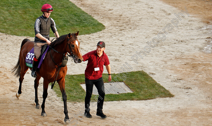 Highland-Reel-0001 
 HIGHLAND REEL training for The Breeders' Cup Turf at Del Mar 2 Nov 2017 - Pic Steven Cargill / Racingfotos.com