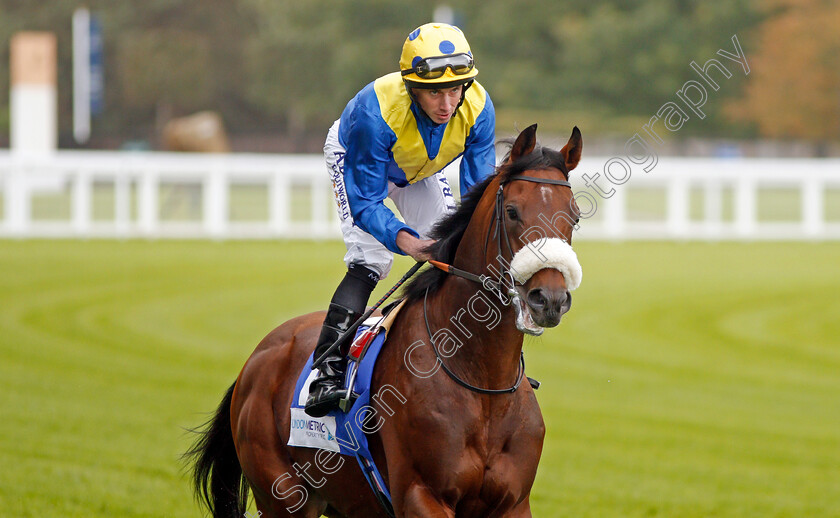 Almania-0001 
 ALMANIA (Ryan Moore)
Ascot 4 Oct 2019 - Pic Steven Cargill / Racingfotos.com