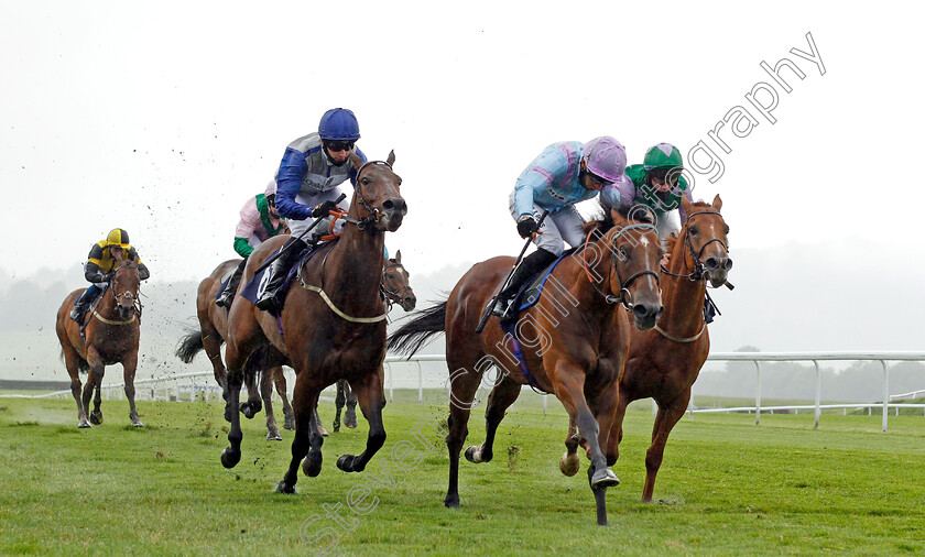 Dave-Dexter-0002 
 DAVE DEXTER (centre, Sean Levey) beats CHITRA (left) and LIHOU (right) in The Ownership With diamondracing.co.uk Handicap
Chepstow 9 Jul 2020 - Pic Steven Cargill / Racingfotos.com