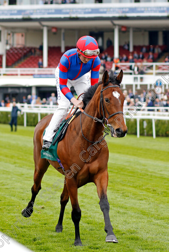 Moon-De-Vega 
 MOON DE VEGA (Rob Hornby)
Chester 4 May 2022 - Pic Steven Cargill / Racingfotos.com